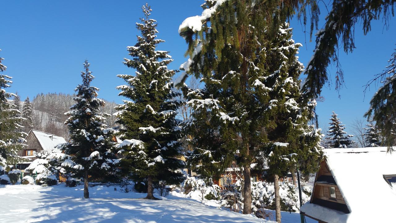 Camping Harenda Pokoje Goscinne I Domki Zakopane Esterno foto