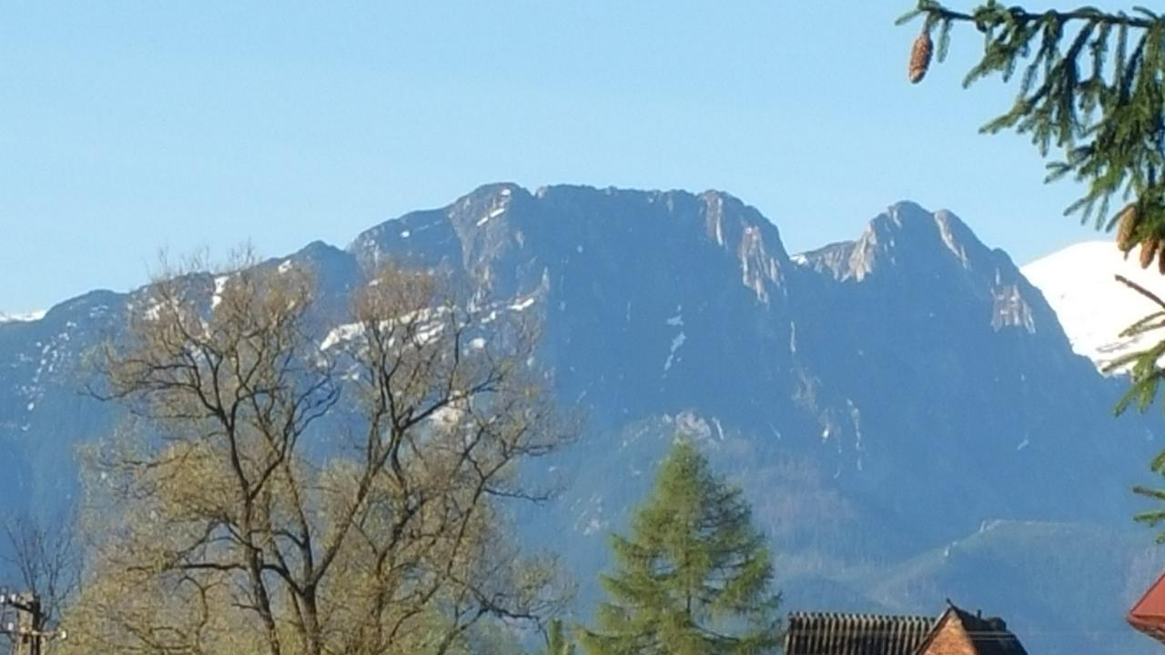 Camping Harenda Pokoje Goscinne I Domki Zakopane Esterno foto