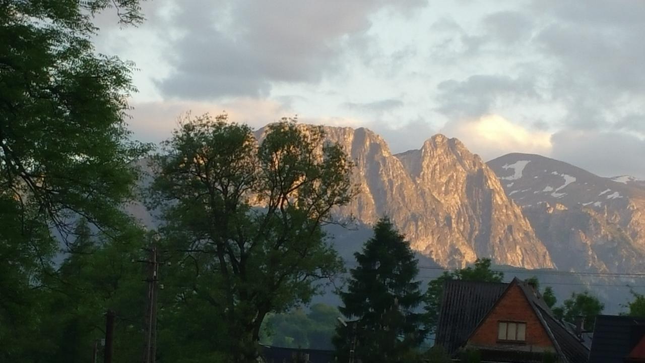 Camping Harenda Pokoje Goscinne I Domki Zakopane Esterno foto