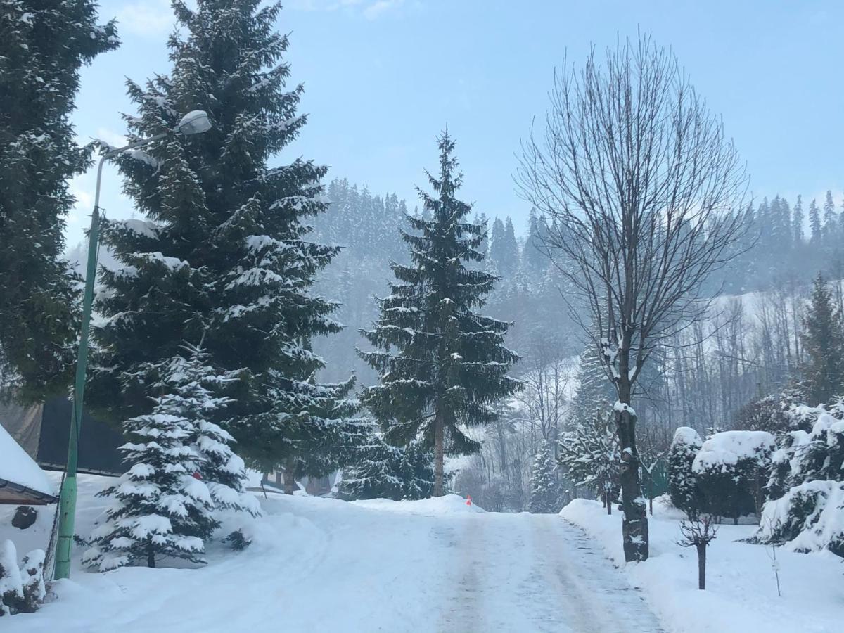 Camping Harenda Pokoje Goscinne I Domki Zakopane Esterno foto